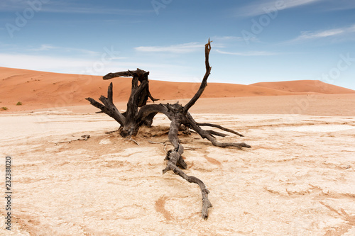 Dead Vlei in Namib desert Namibia Africa