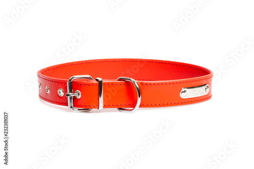 red collar with rivets isolated on white background