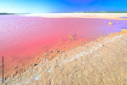 Pink Salt Lake at Gregory in Western Australia. Scenic shore of Hutt Lagoon between Geraldton and Kalbarri, with a vivid pink color for the presence of algae in summer.Horizon blue sky with copy space photo