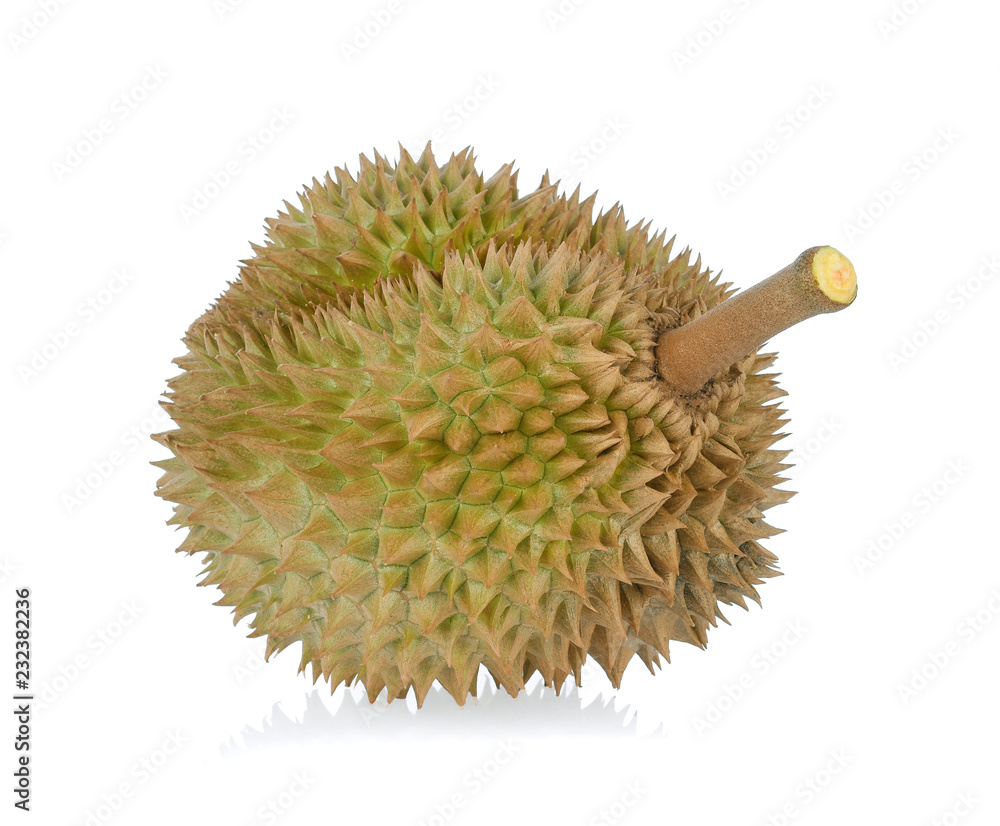 Durian isolated on white background. Durian isolated on white background.