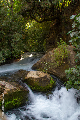 River Hermon  Banias Nature Reserve in northern Israel