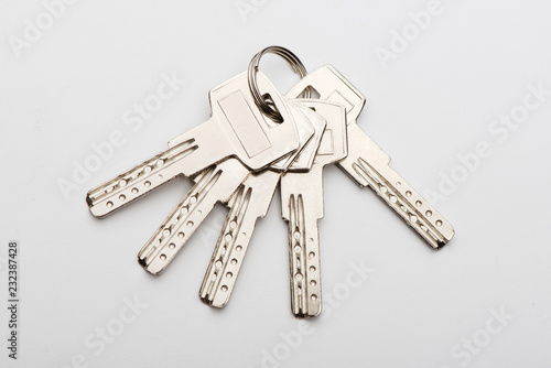 keys to the apartment. house keys