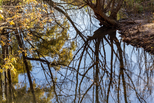 Obraz na płótnie Autumn trees reflecting in a calm pond on a sunny morning in Toronto, Ontario w salonie