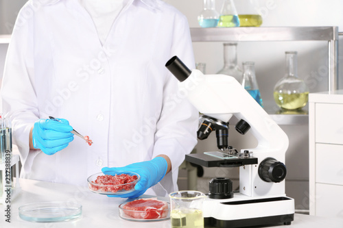 Scientist holding Petri dish with forcemeat over table in laboratory. Food quality control