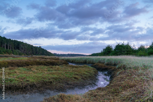 Copalis River In Autumn