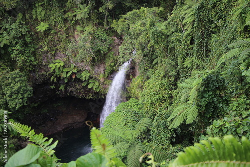 Tavoro Falls Fiji Island
