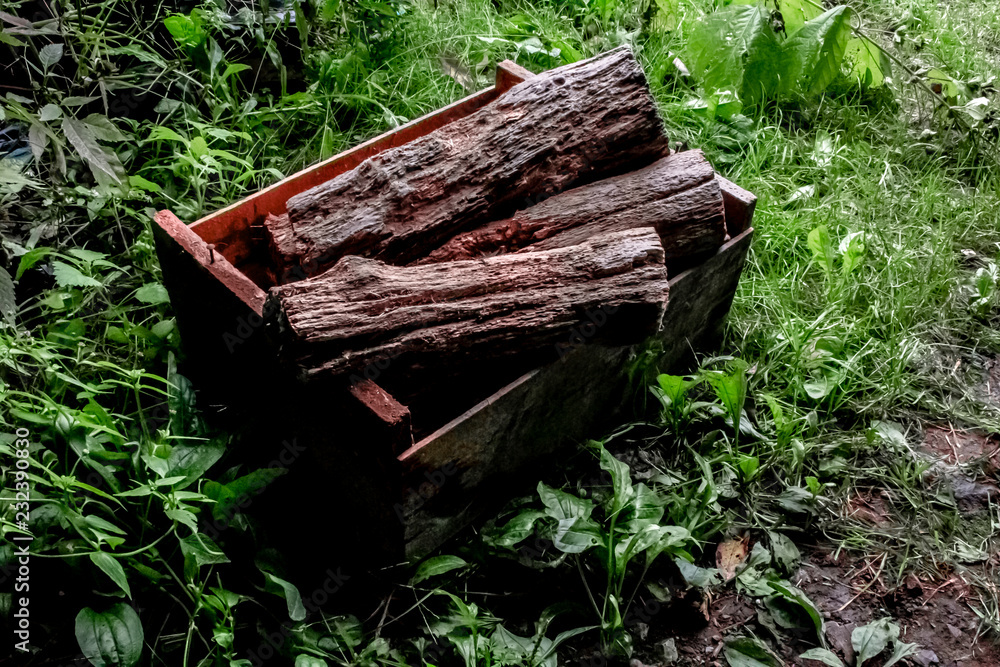 Old dry firewood in a wooden crate in tall green grass.