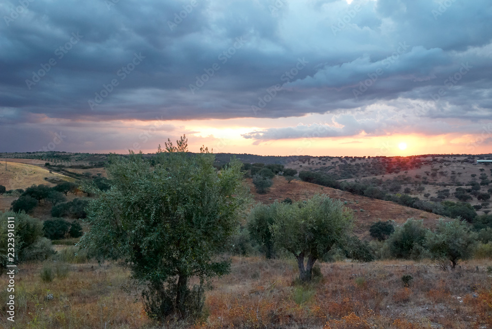 Sunset on alentejo field