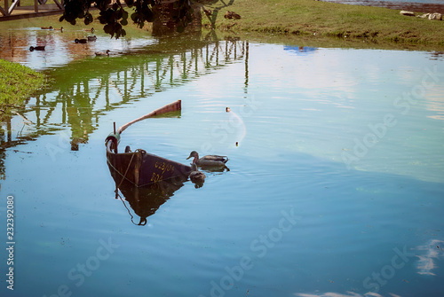 boat on the lake photo