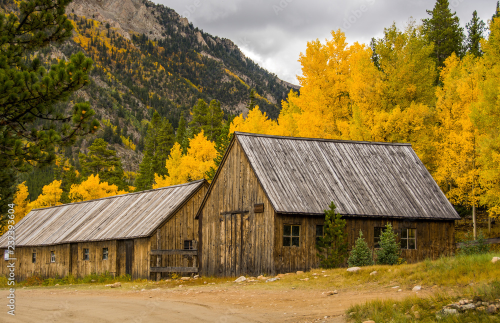 Obraz premium Cabins in Aspen