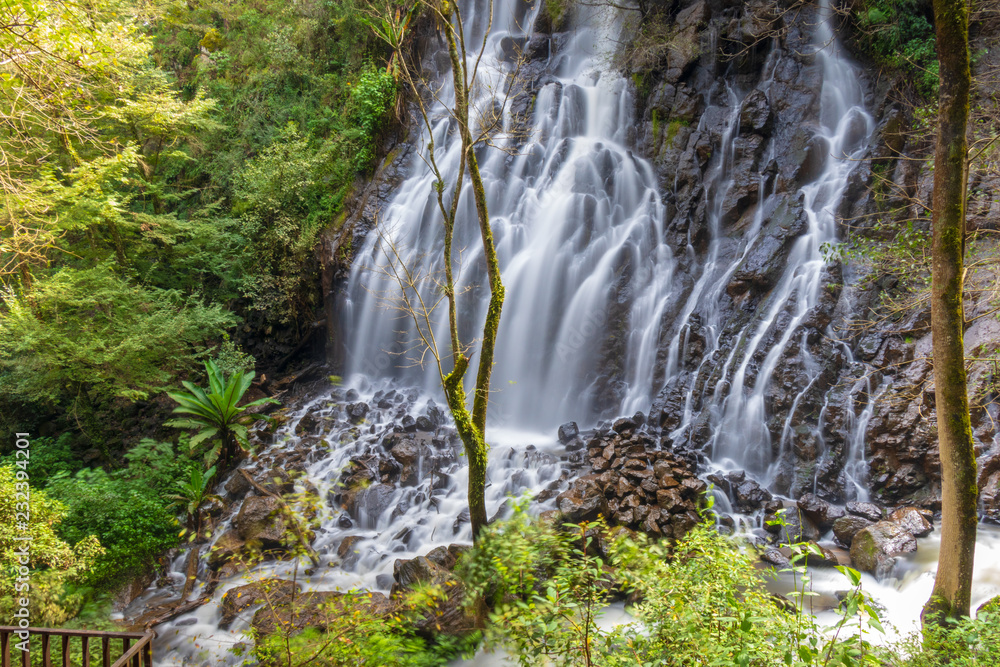 Naklejka premium waterfall