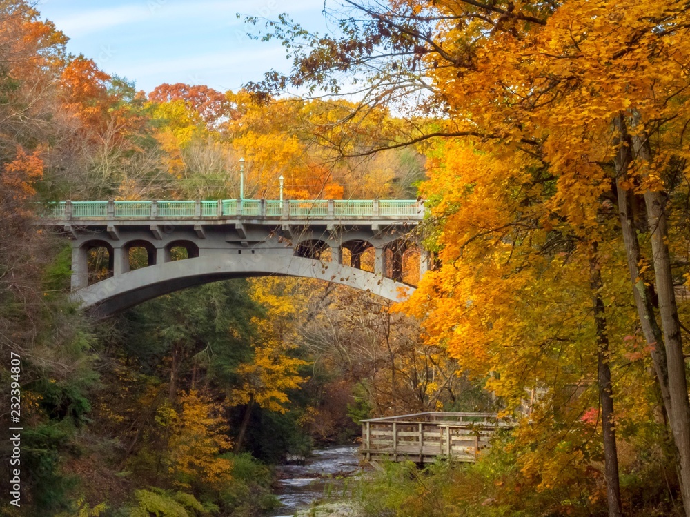 Bridge and Fall Trees Bridge and Fall Trees