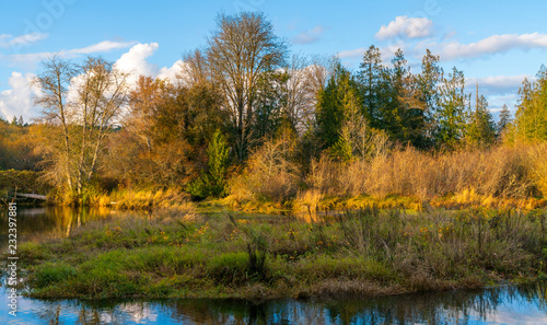 Lynch Cove Wetlands Washington State