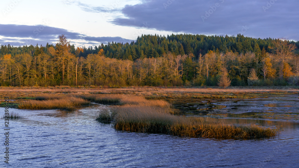 Sunset at Lynch Cove Wetlands Washington State