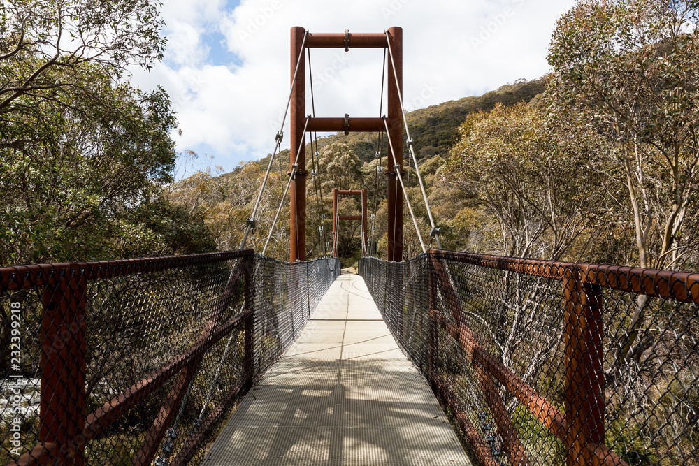 Bridge Thredbo River - Mt Kosciuszko National Park Bridge Thredbo River - Mt Kosciuszko National Park
