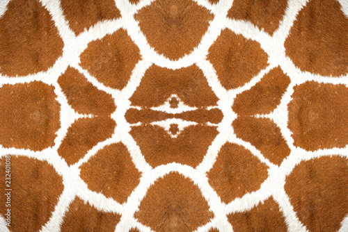 Photography Closeup giraffe skin for the background
