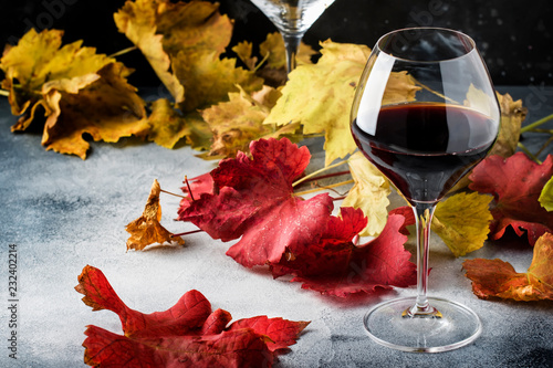 Dry red wine in large glass, autumn still life with red and yellow leaves on gray background, wine tasting, selective focus