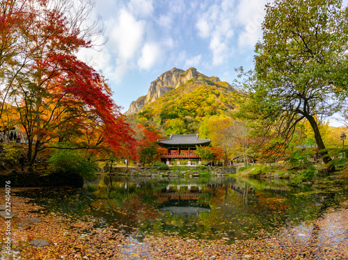 Beautiful scenic autumn leaves colour changing and Korean style pavilion with their reflection over the pond in Baekyangsa temple in Daedunsan national park, South Korea. photo