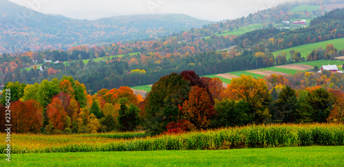 Rolling farm hills are broken by swaths of trees in full Autumn Color photo