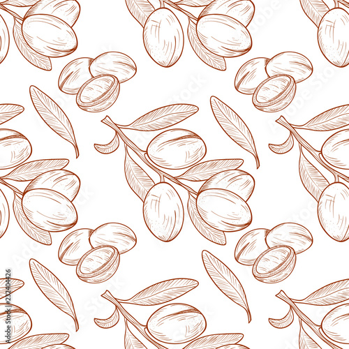 Argan. Plant. Background, wallpaper, seamless. Sketch. Monochrome