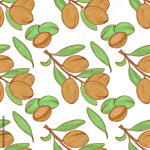 Argan. Background, wallpaper, seamless. Sketch. Color pattern.