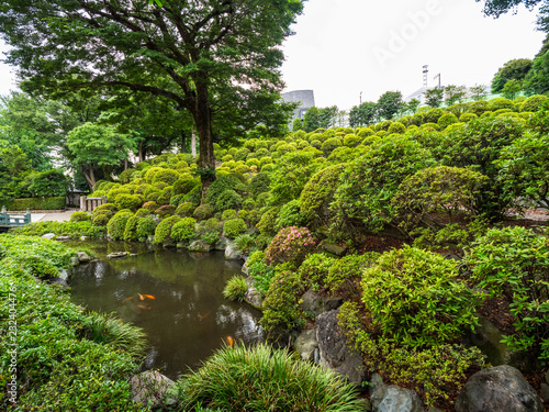 Gardens of the Nezu Shrine in Tokyo Bunkyo