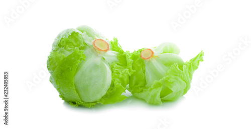 Green Iceberg lettuce on White Background photo