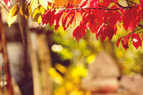 A 70 degree day in autumn.