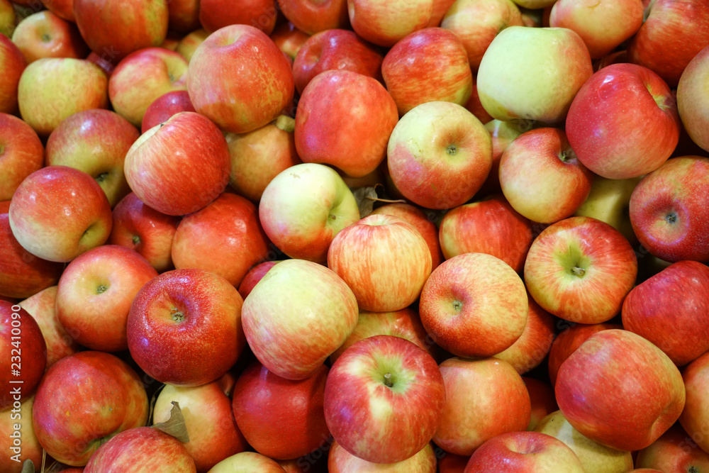 Fresh picked red honey crispy apples background in the harvest season Fresh picked red honey crispy apples background in the harvest season