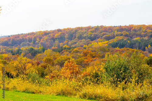 Fototapeta Naklejka Na Ścianę i Meble -  Fall leaves turning many colors in the river valley between Minnesota and Wisconsin