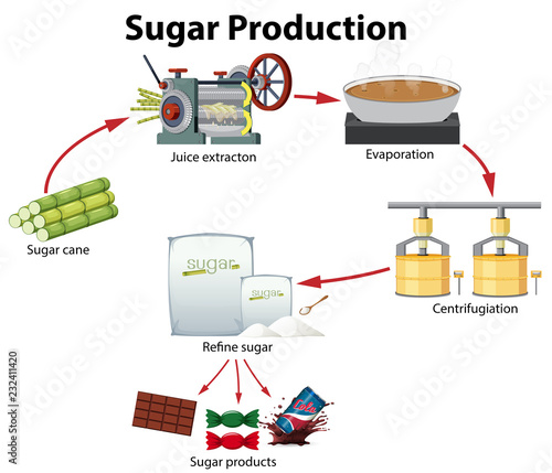 A sugar production diagram
