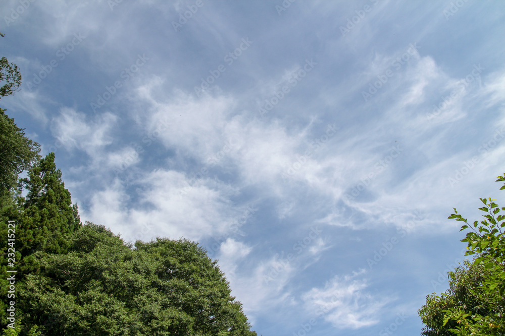 夏の空