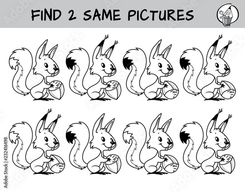 Funny little squirrel with a nut. Find two same pictures. Educational game for children.Blak and white cartoon vector illustration
Funny squirrel with a nut. Find two same pictures