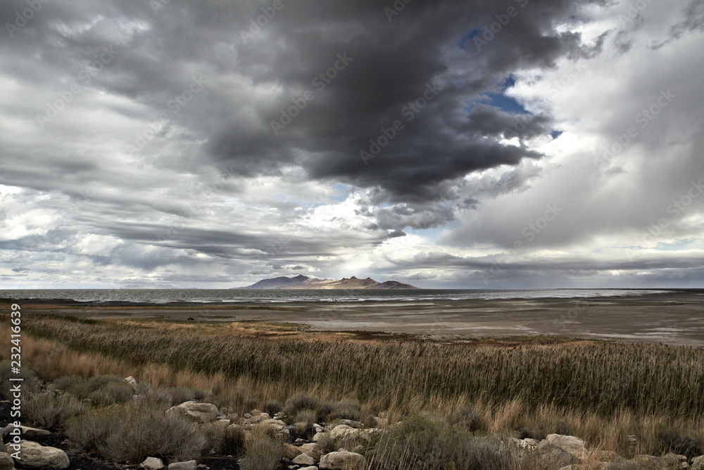 Obraz premium Antelope Island, State Park, Great Salt Lake in winter. USA, Utah