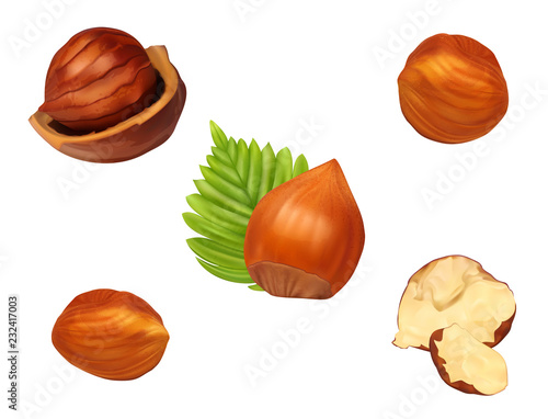 Hazelnut set with leaves
