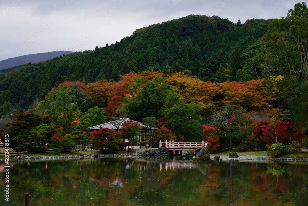 秋の庭園