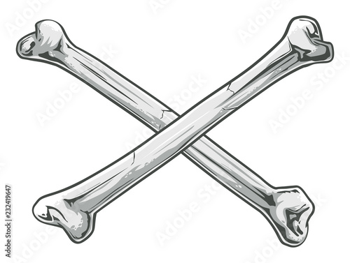 Crossed  Bones photo