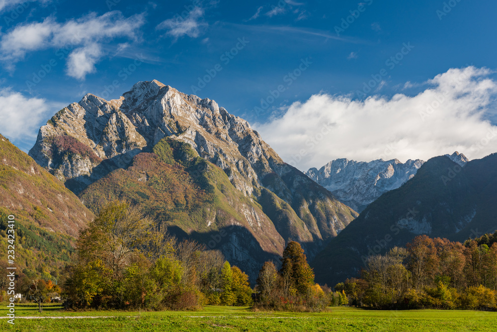 Vibrant green meadow and high Alps in Slovenia