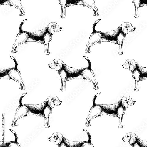 Seamless pattern with beagles
