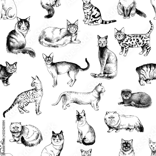 Seamless pattern with 16 hand drawn purebred cats