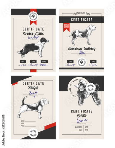 4 dog show certificates