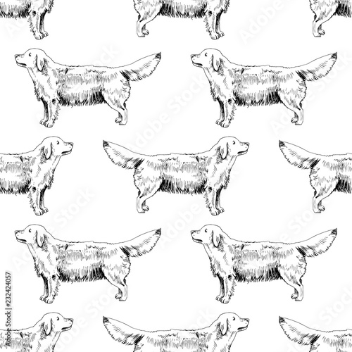 Hand Drawn seamless pattern with Golden Retrievers