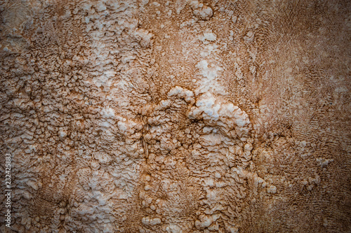 Texture yellow and beige wet uneven bumpy stone glitters in the sun. Calcium stalagnate growths, waterfall mountain in Georgia on the Georgian military road, Golden mountain. photo