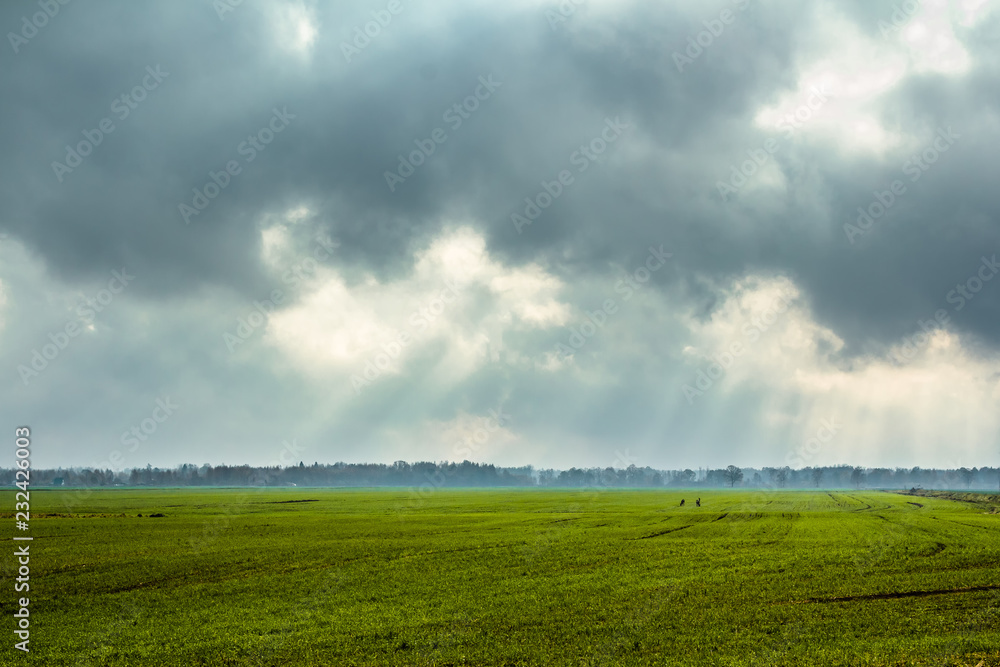 foggy morning in a countryside in cloudy weather in November foggy morning in a countryside in cloudy weather in November