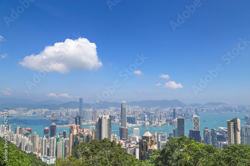 Photography Beautiful view of HongKong skyline in the day of bright and clear blue sky