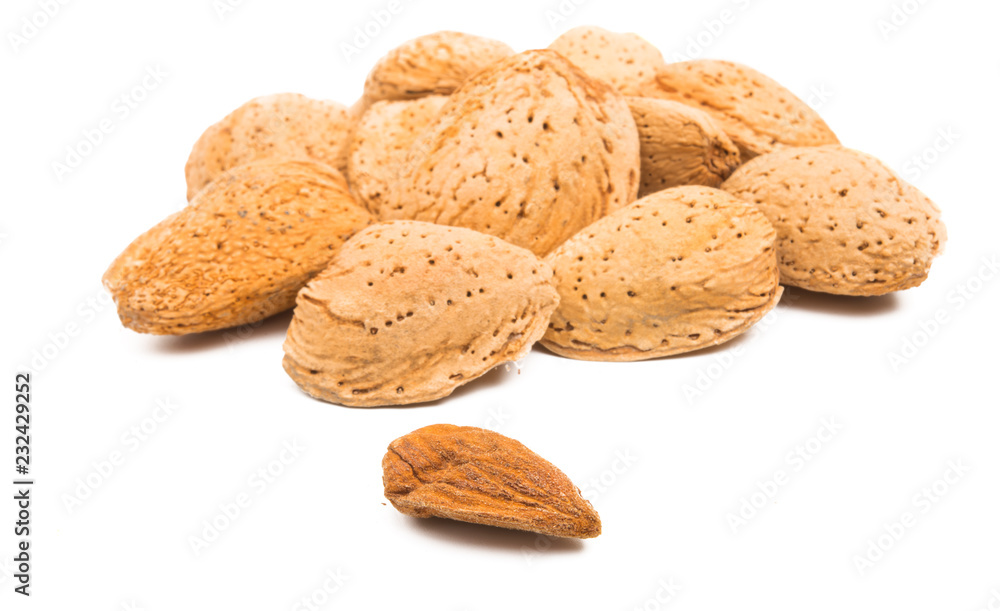 inshell almond isolated inshell almond isolated