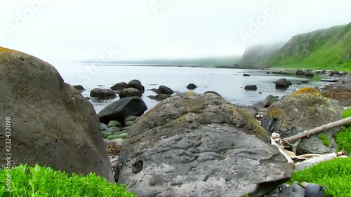 Okhotsk Sea, Iturup Island, Russia. Sea waves break up on coastal rocks covered with algae. Slowmotion 240 FPS