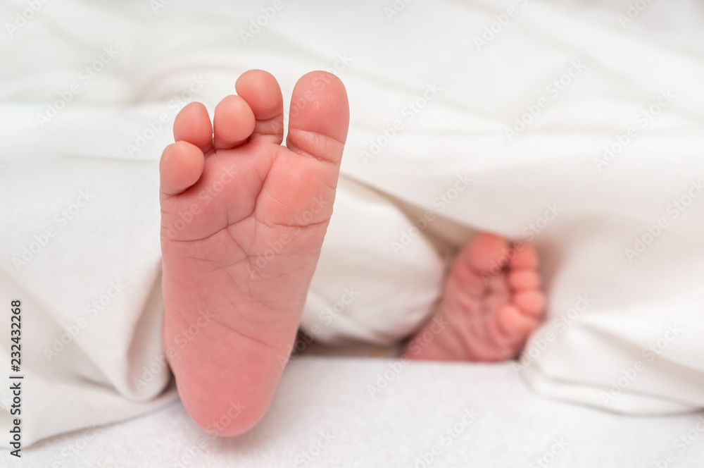 Newborn baby feet in bed under white blanket