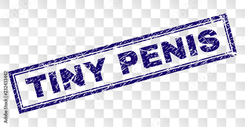 TINY PENIS stamp seal watermark with rubber print style and double framed rectangle shape. Stamp is placed on a transparent background. Blue vector rubber print of TINY PENIS text with grunge texture.