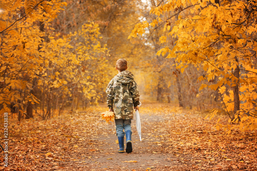 Cute little boy walking in autumn park © Pixel-Shot